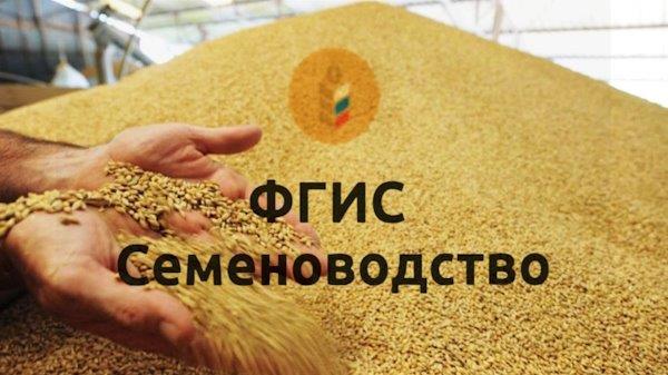 ФГИС «Семеноводство» станет обязательной с 1 сентября 2024 года.