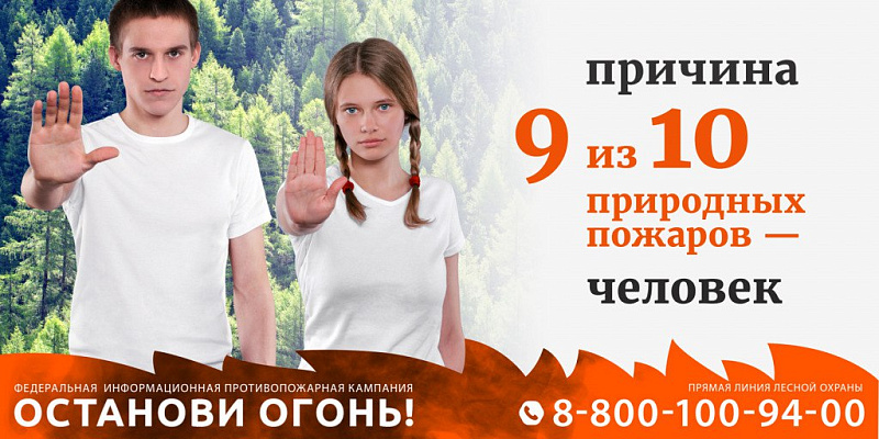 Особый противопожарный режим в лесах Архангельской области продлен по 28 сентября.