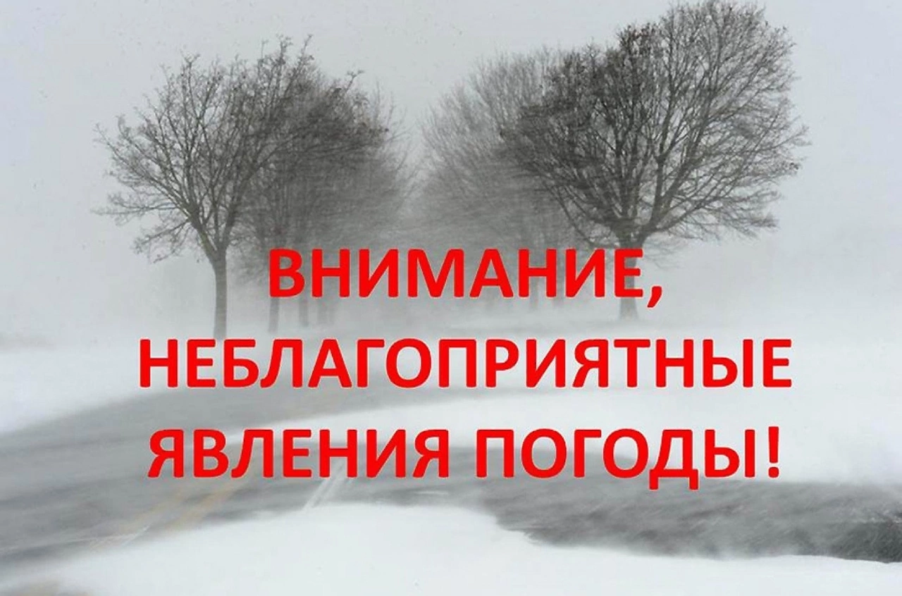 Снегопад снова возвращается в Поморье.