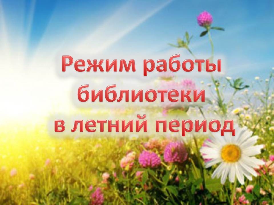 Библиотеки Новодвинска переходят на летний режим работы.