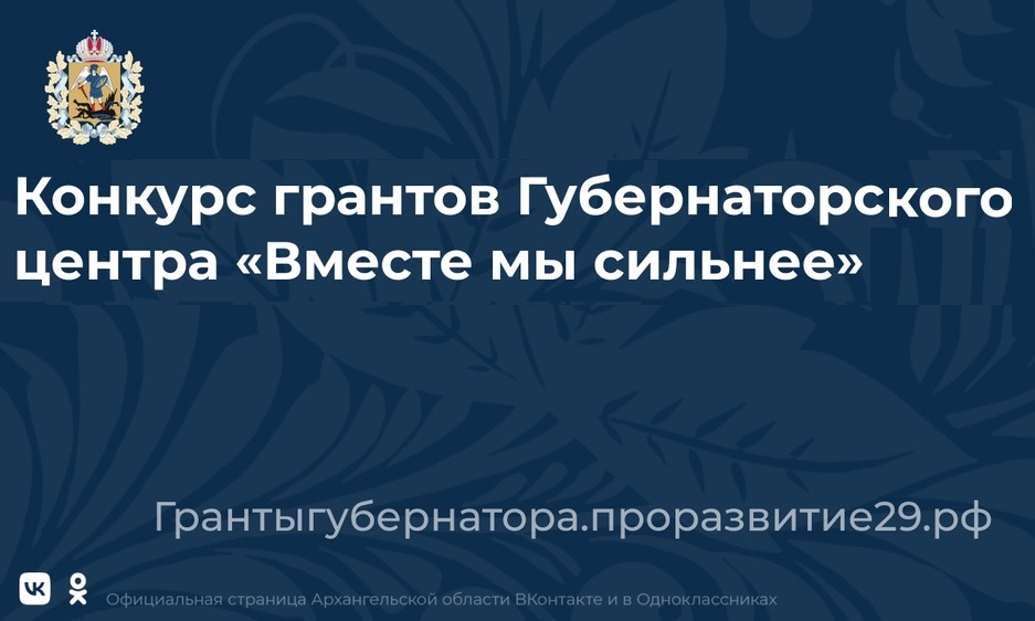 Общественные инициативы новодвинцев получили грантовую поддержку.