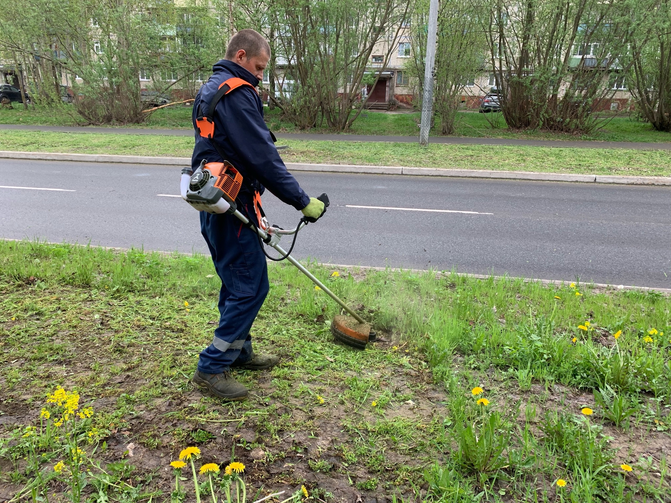 В Новодвинске в рамках мероприятий по благоустройству начались работы по покосу травы.