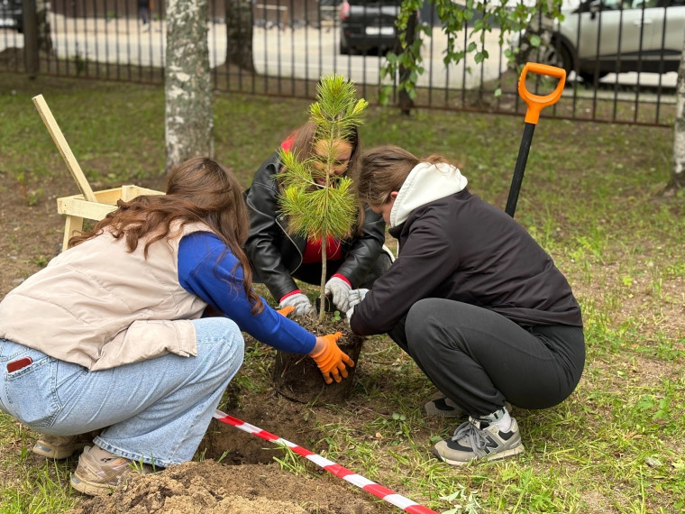 Молодежь закладывает зелёное наследие Новодвинска. Молодежь закладывает зелёное наследие Новодвинска.